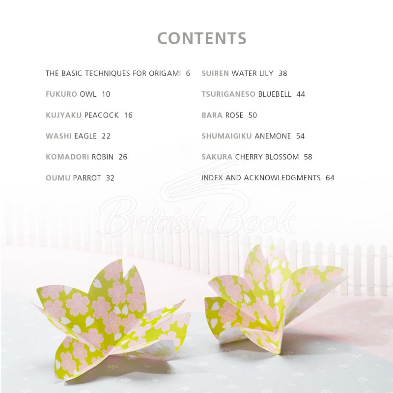 Книга Origami Flowers and Birds зображення 1