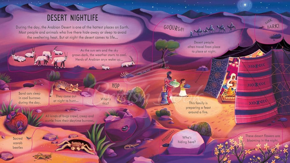 Книга Look inside Night Time зображення 2