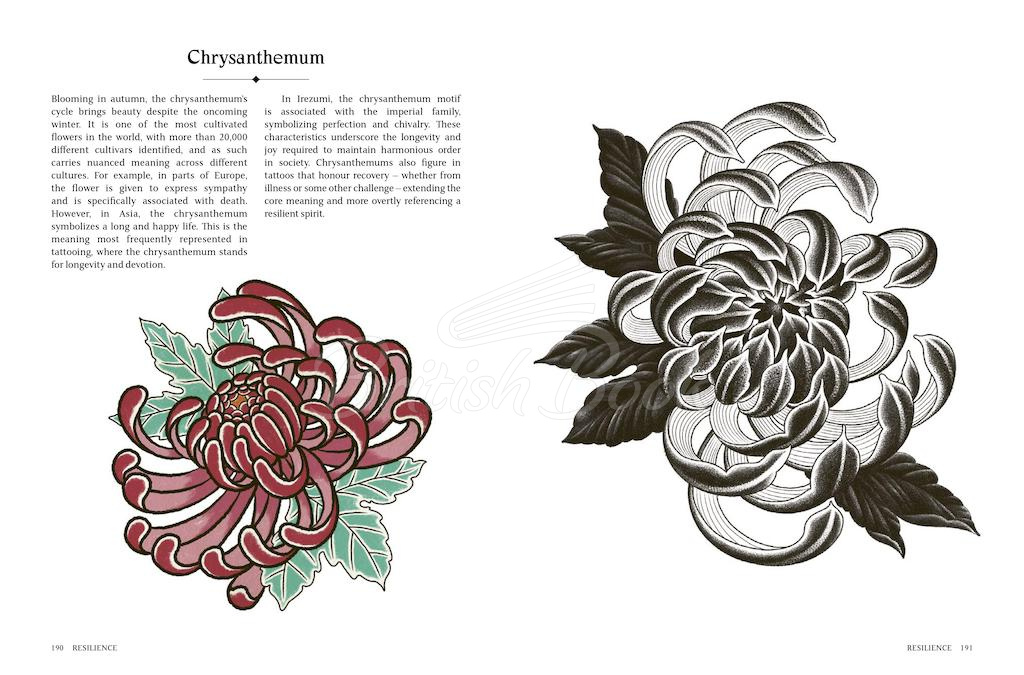 Книга The Language of Tattoos: 130 Symbols and What They Mean зображення 3