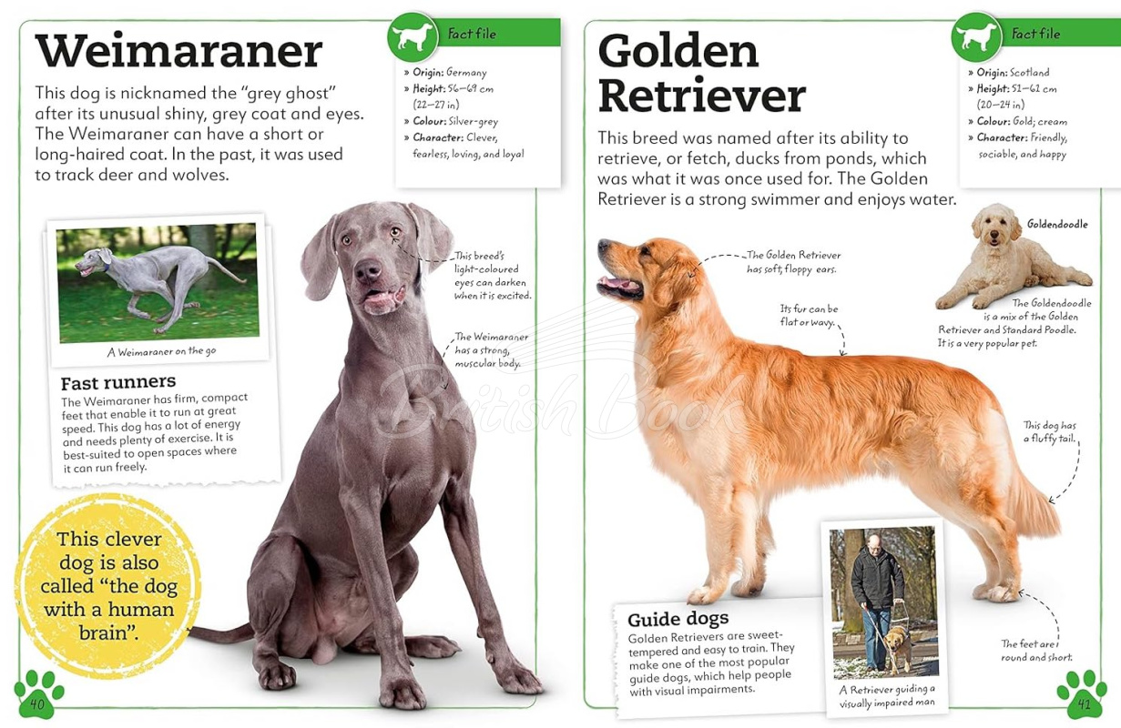 Книга My Book of Dogs and Puppies изображение 3