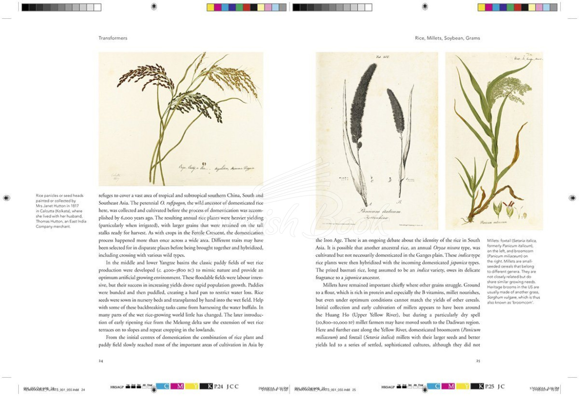 Книга Remarkable Plants изображение 4