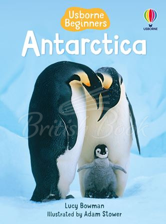 Книга Usborne Beginners Antarctica изображение