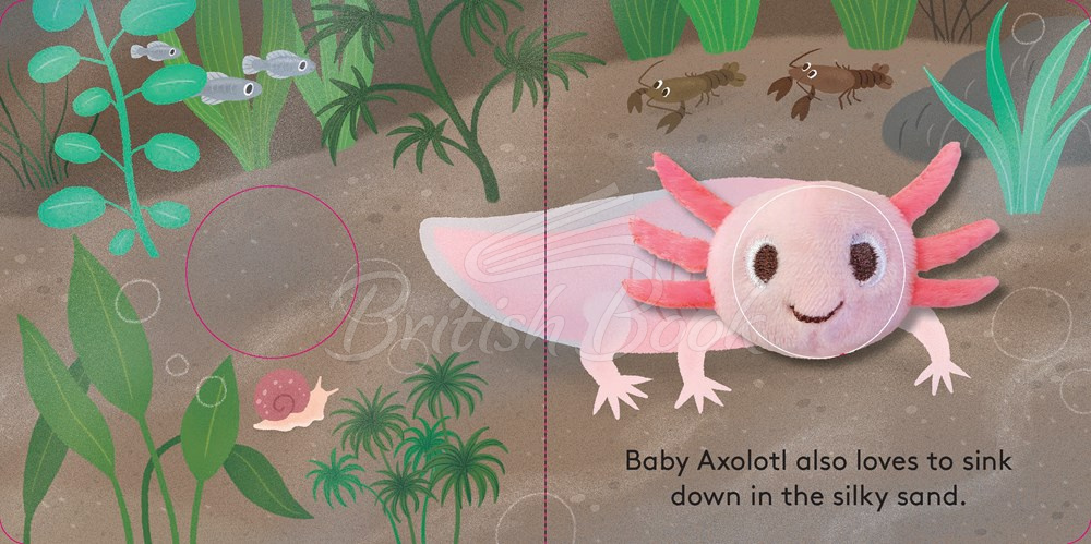 Книга Baby Axolotl Finger Puppet Book зображення 2