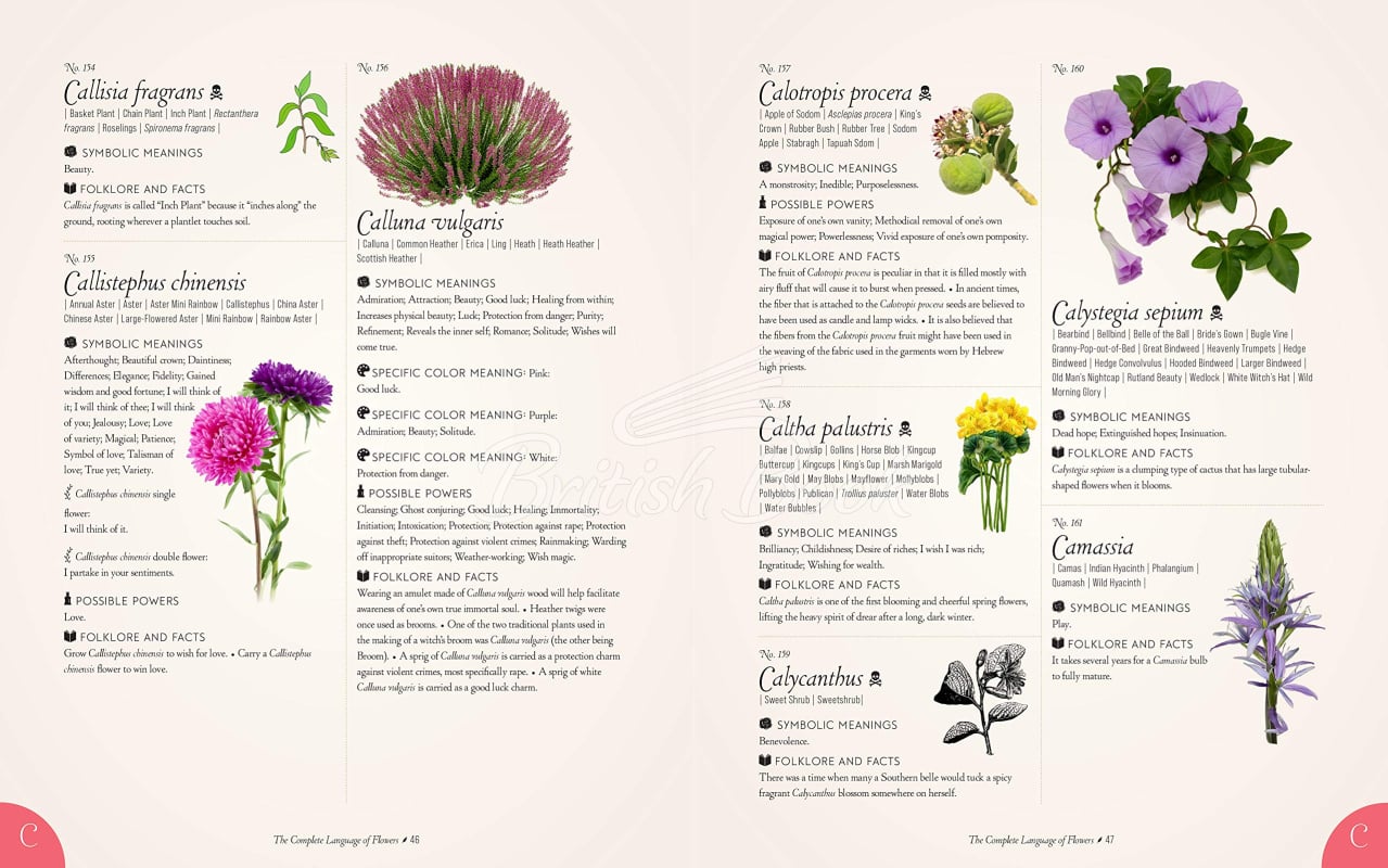 Книга The Complete Language of Flowers зображення 1