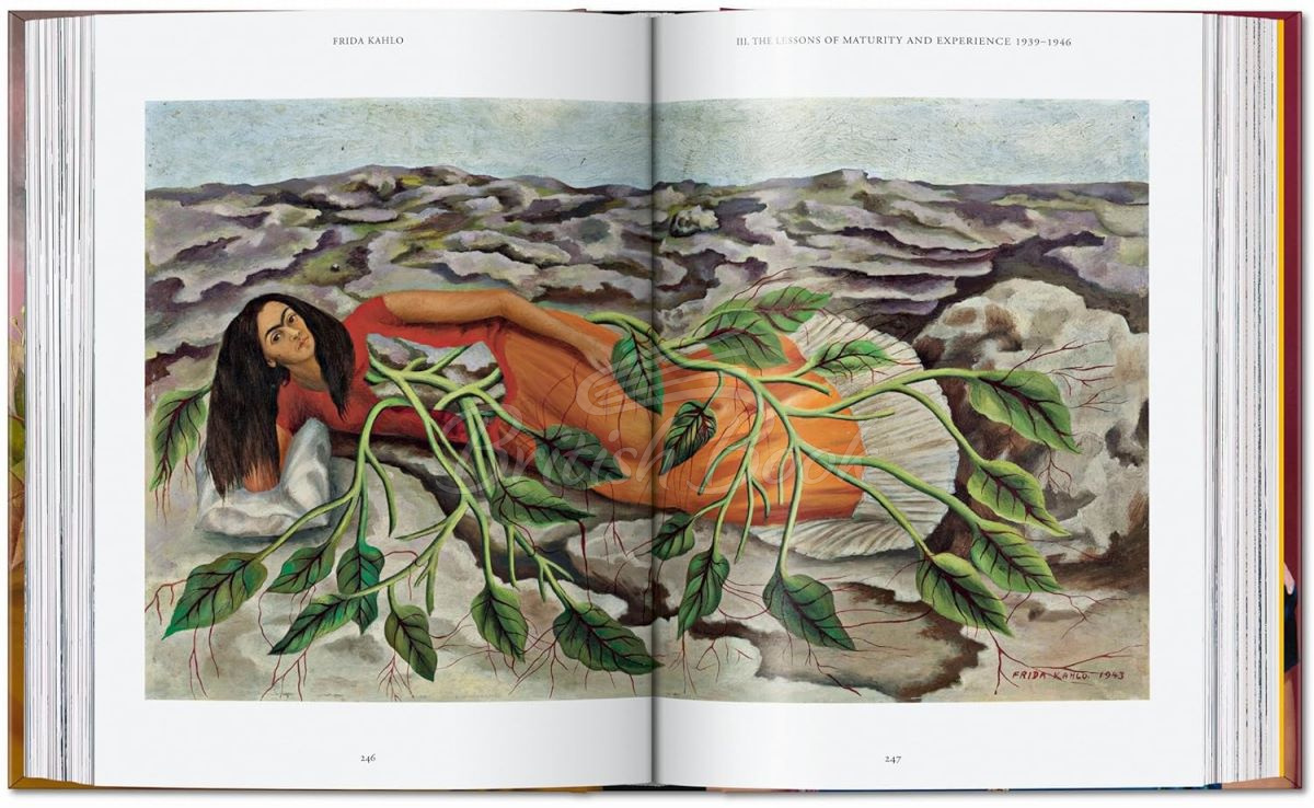 Книга Frida Kahlo зображення 6