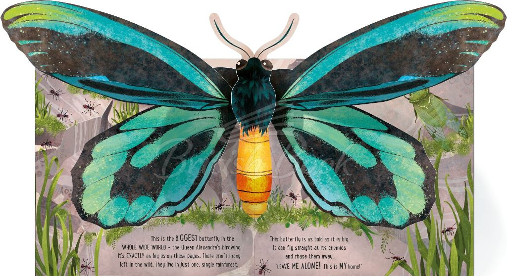 Книга Pop-Up Butterflies зображення 5