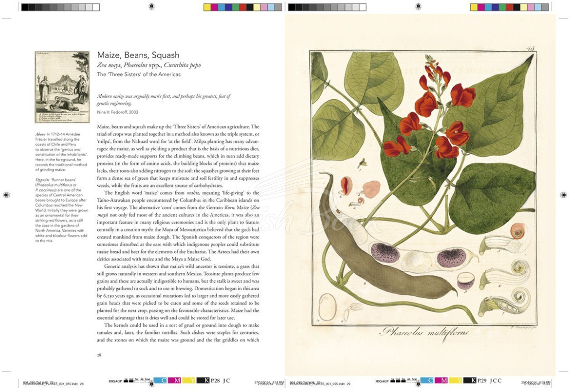 Книга Remarkable Plants изображение 5