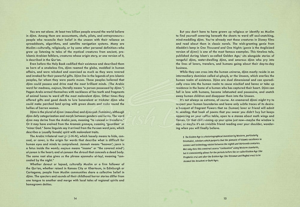 Книга Djinnology: An Illuminated Compendium of Spirits and Stories from the Muslim World зображення 4
