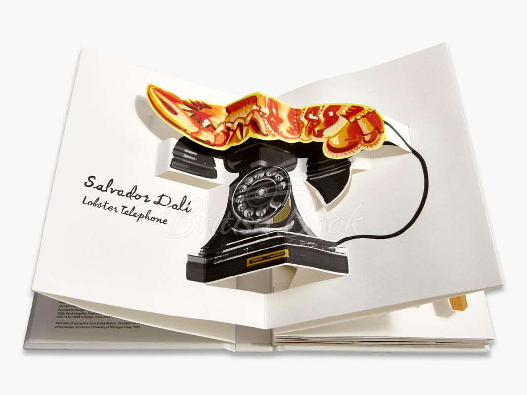 Книга Pop-Up Surrealism зображення 3