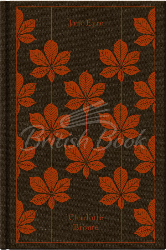 Книга Jane Eyre зображення