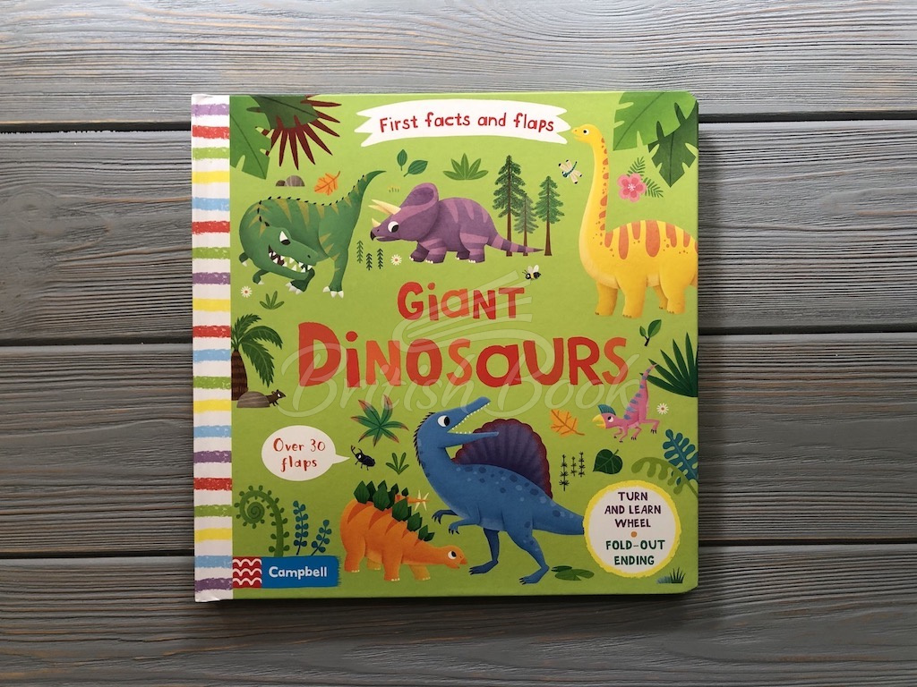 Книга First Facts and Flaps: Giant Dinosaurs зображення 1