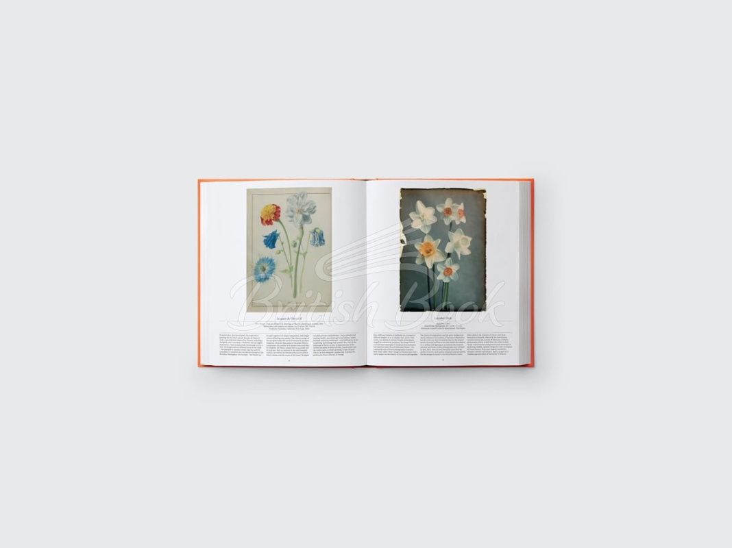 Книга Flower: Exploring the World in Bloom зображення 3