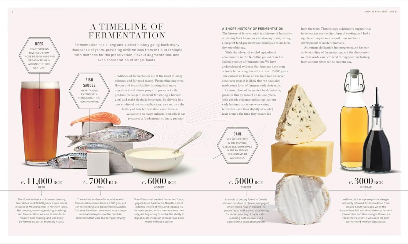 Книга The Science of Fermentation зображення 2
