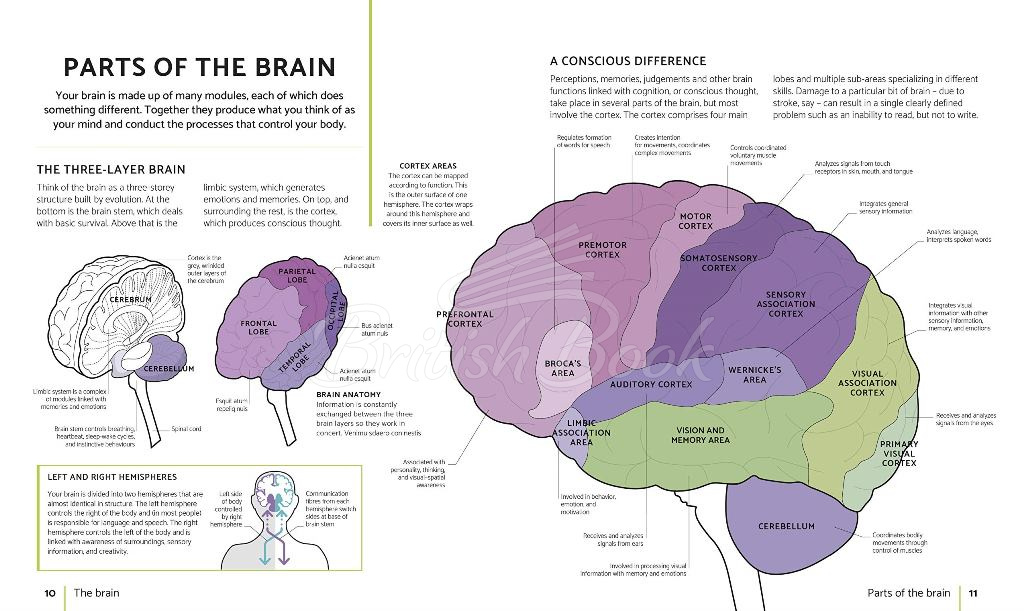 Книга The Brain Fitness Book изображение 1