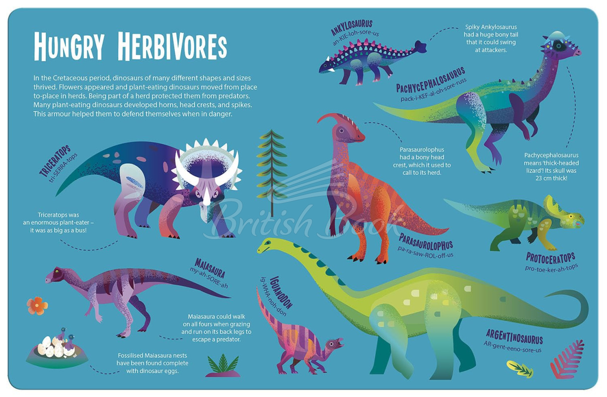 Книга Magic Searchligh: Dinosaurs зображення 1