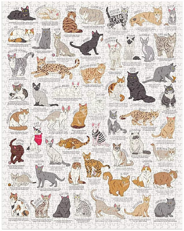 Пазл The Cat Lover's 1000 Piece Jigsaw Puzzle зображення 1