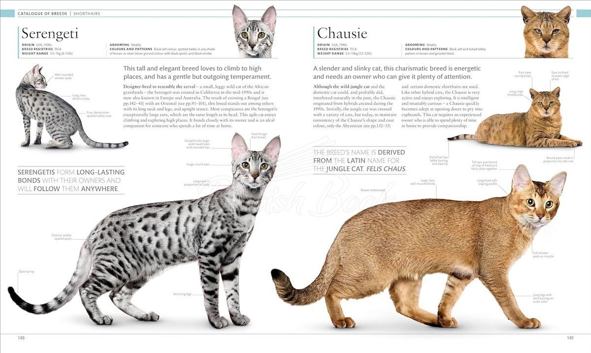 Книга The Cat Encyclopedia изображение 6