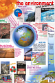 The Environment and Pollution