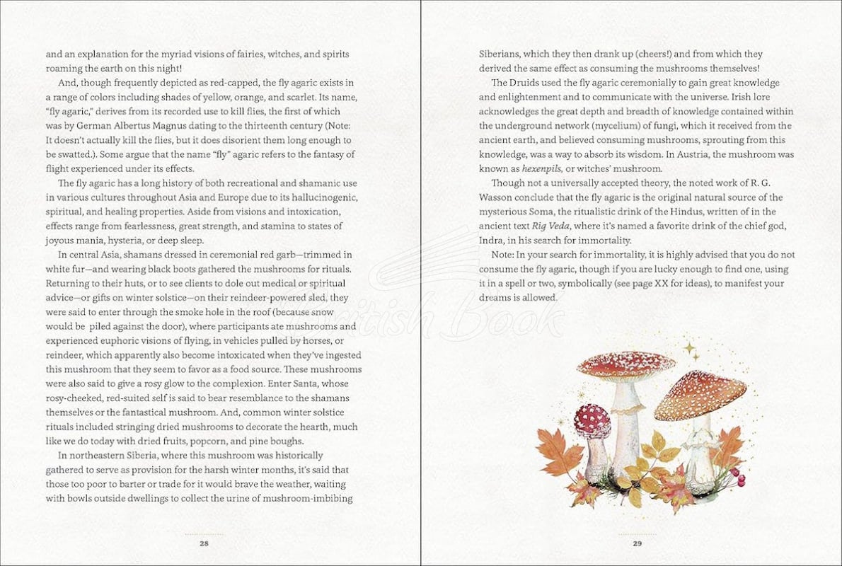 Книга Mystical Mushrooms изображение 5