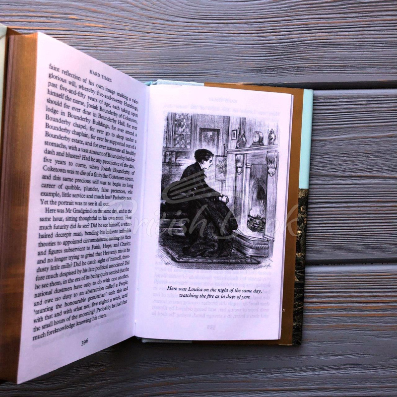Книга Hard Times зображення 1