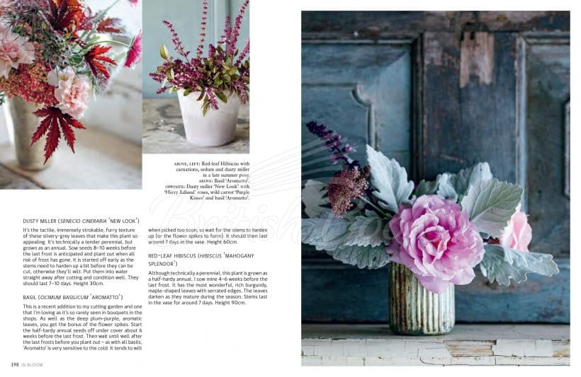 Книга In Bloom изображение 3