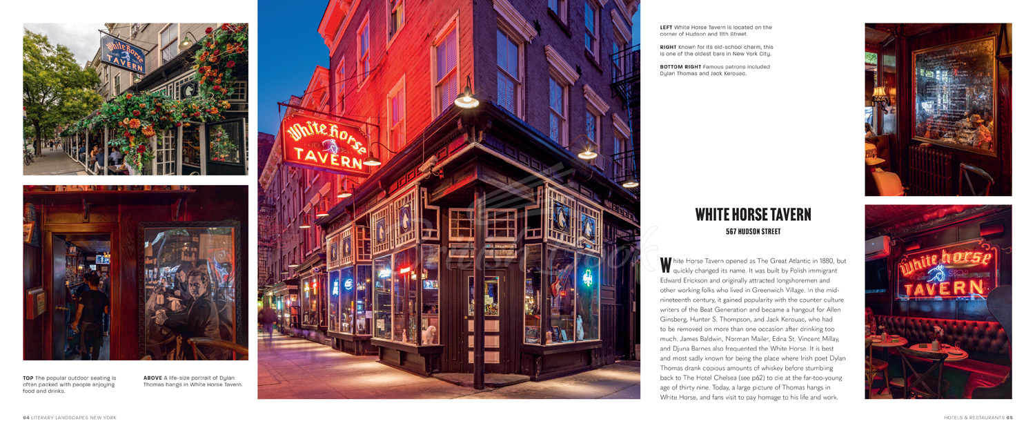 Книга Literary Landscapes: New York зображення 5