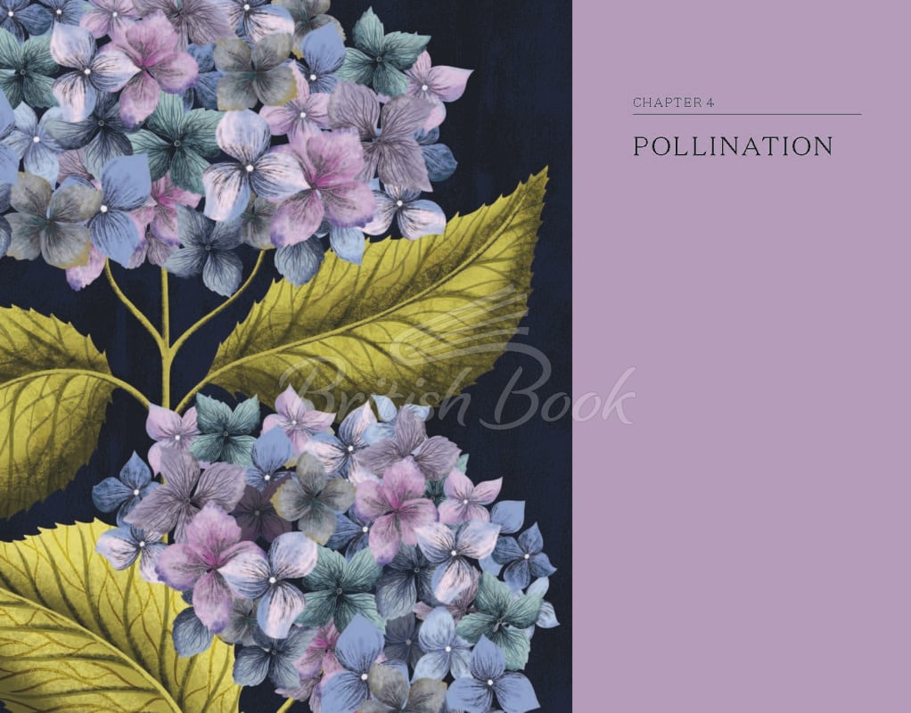 Книга The Hidden Histories of Flowers зображення 6