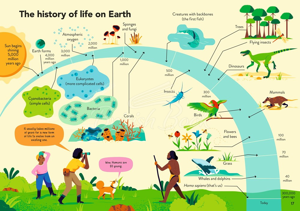Книга Ecology for Beginners зображення 2