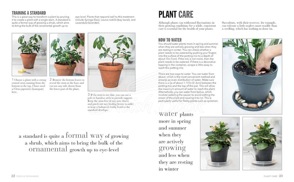 Книга The Joy of Living with Plants зображення 4