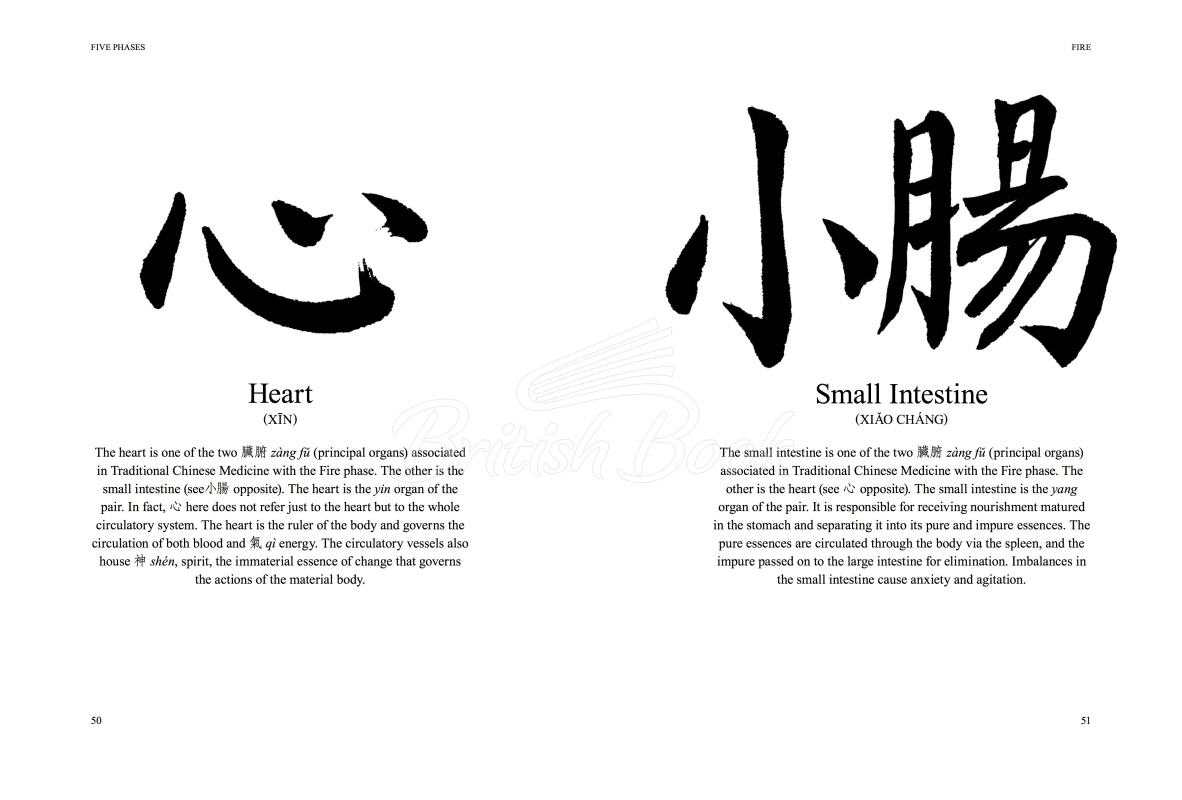 Книга Chinese Astrology зображення 2