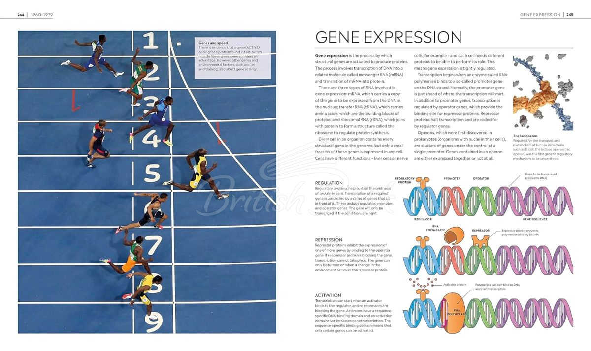 Книга Timelines of Science изображение 7