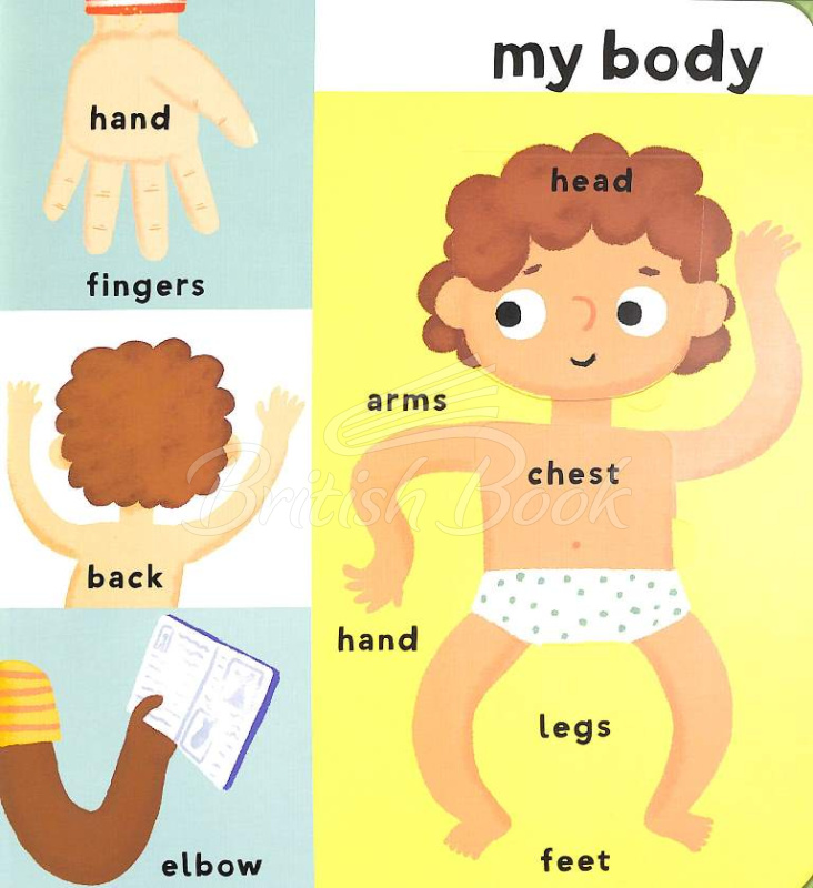 Книга Touch and Feel with Flaps My First 100 Words: Body изображение 2