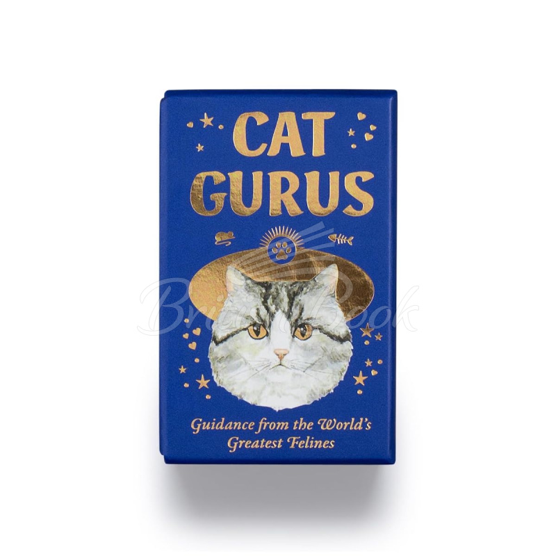 Карточки Cat Gurus изображение 1