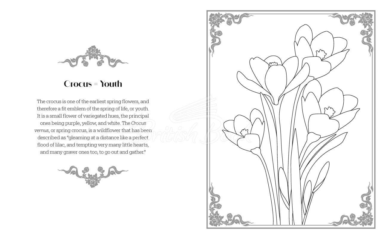 Книга The Language of Flowers Colouring Book зображення 2