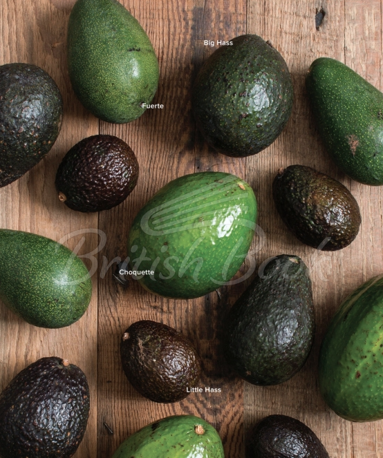 Книга An Avocado a Day: More than 70 Recipes for Enjoying Nature's Most Delicious Superfood зображення 13