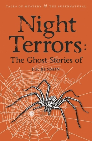 Книга Night Terrors: The Ghost Stories of E.F. Benson зображення