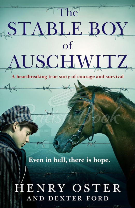 Книга The Stable Boy of Auschwitz зображення