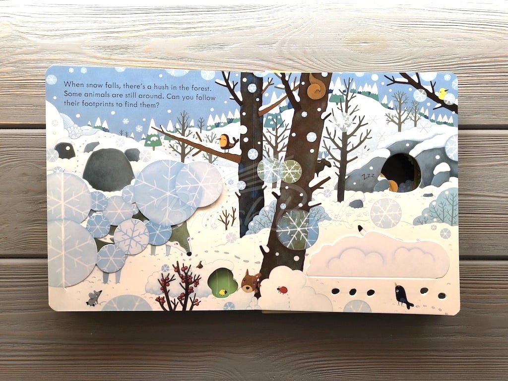 Книга Peep inside the Forest зображення 7