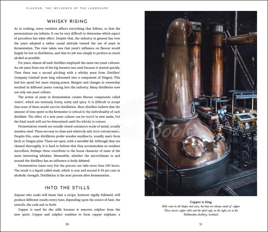 Книга Malt Whisky Companion зображення 5