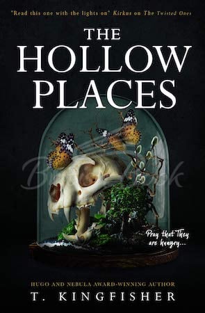 Книга The Hollow Places зображення