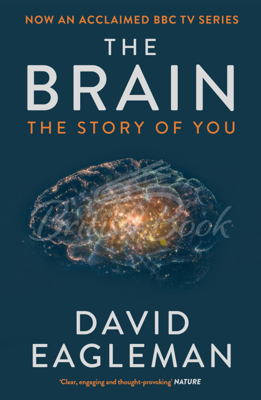 Книга The Brain изображение