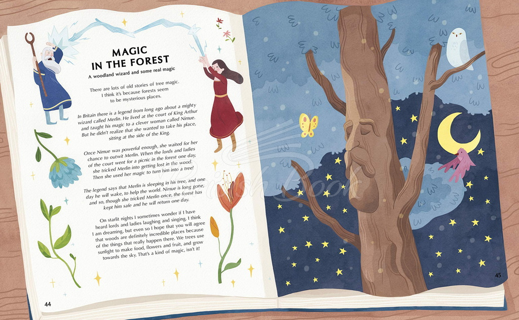Книга The Secret Life of Trees изображение 3