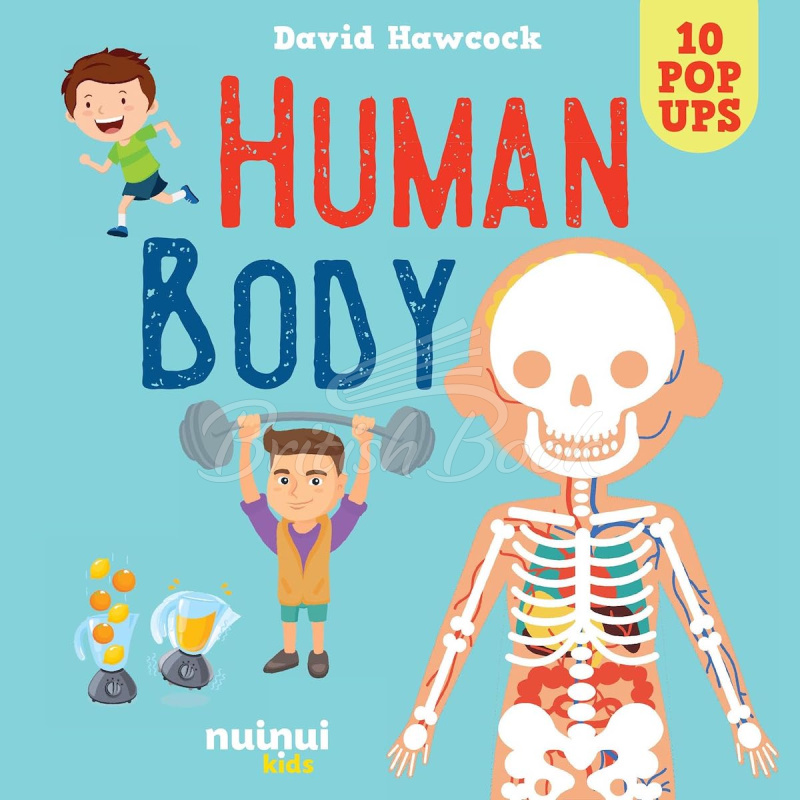 Книга Amazing Pop-Ups: Human Body зображення