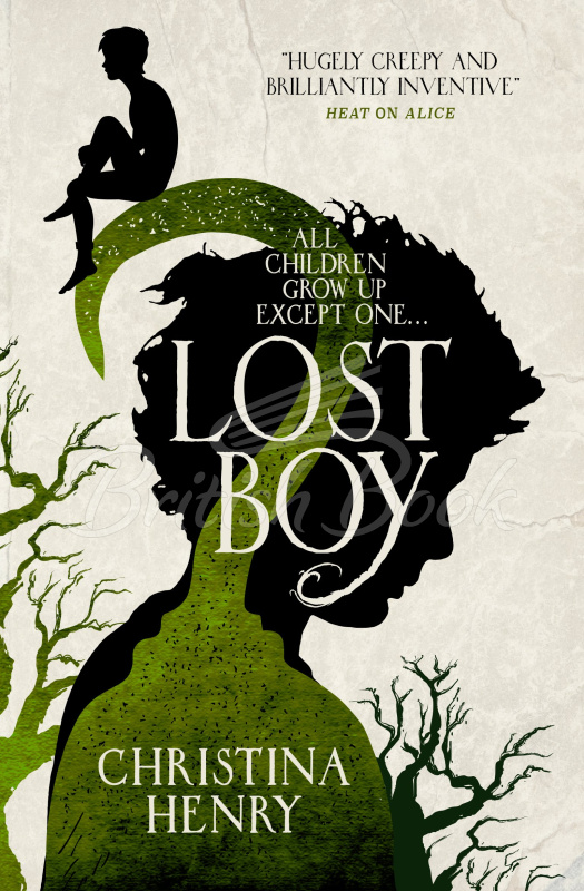 Книга Lost Boy изображение