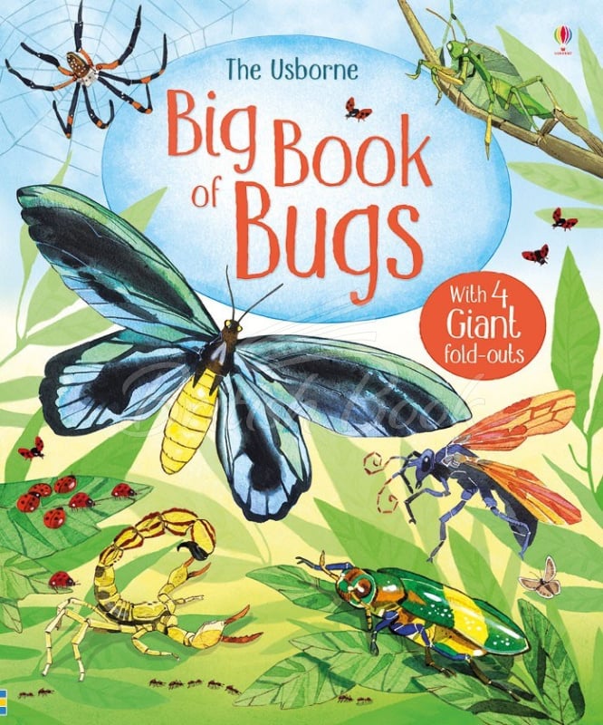 Книга Big Book of Bugs изображение