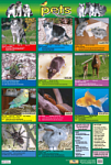 Pets Poster