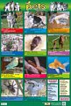 Pets Poster