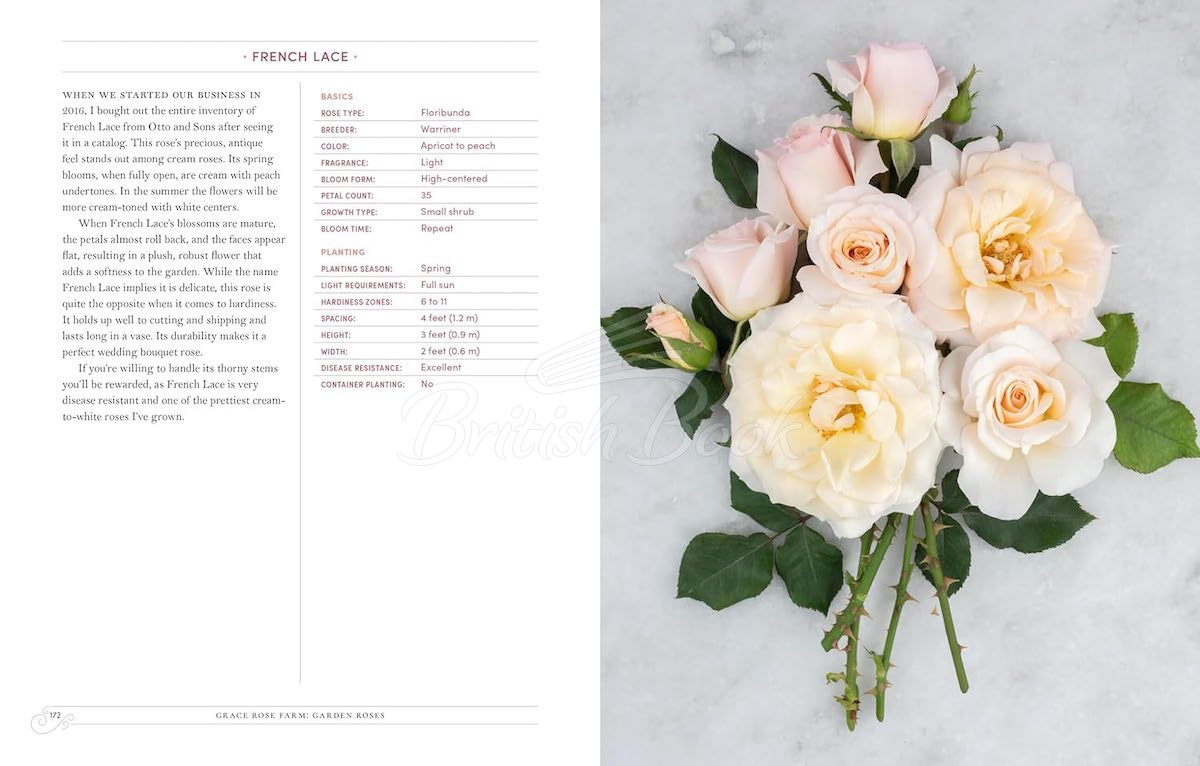 Книга Garden Roses зображення 5