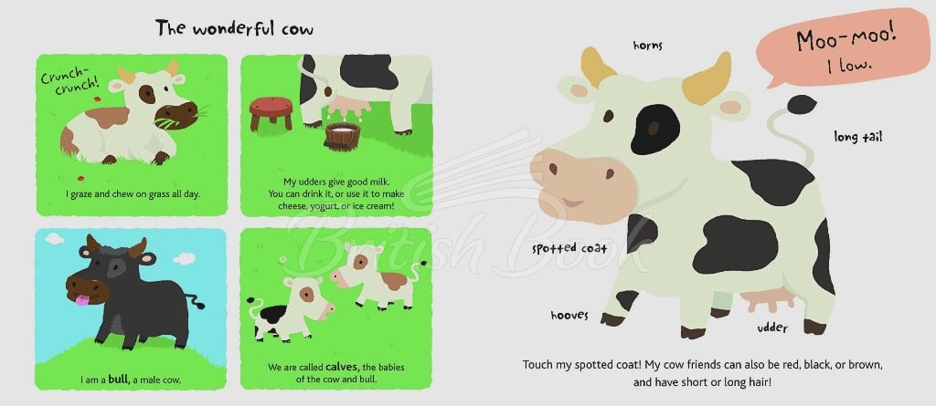 Книга Touch and Explore Farm зображення 6
