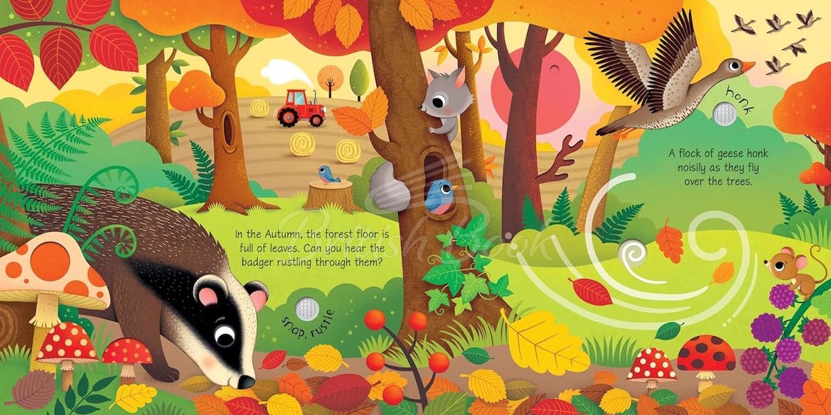 Книга Seasons Sounds изображение 3